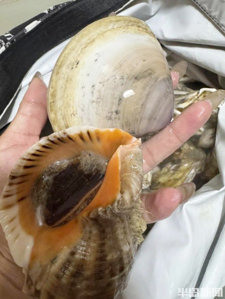 Ảnh: Bandao Dushi News