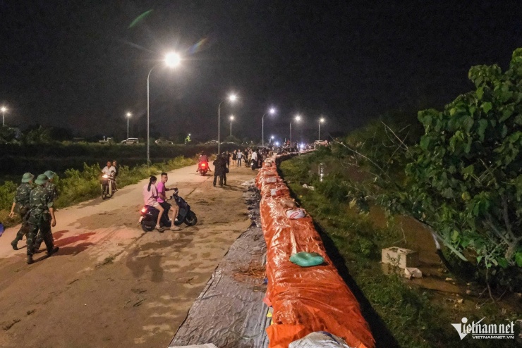 Dọc tuyến đê Đẩu Hàn đã được gia cố.