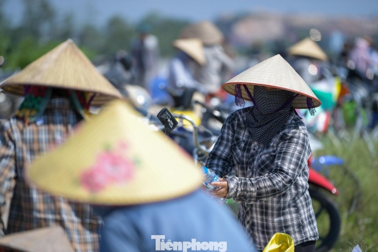 Căng mình giữ đê Đẩu Hàn giữa mưa lũ ở Bắc Ninh - 8