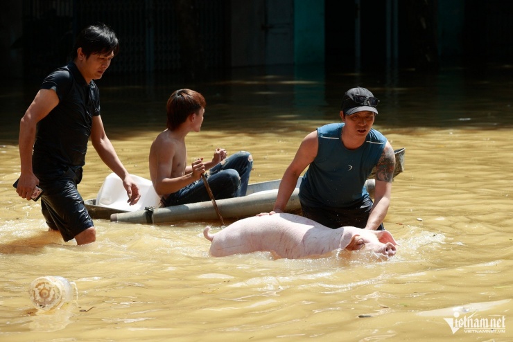 Hà Nội: Lũ tràn trong đêm không kịp trở tay, gõ cửa từng nhà tiếp tế lương thực - 9