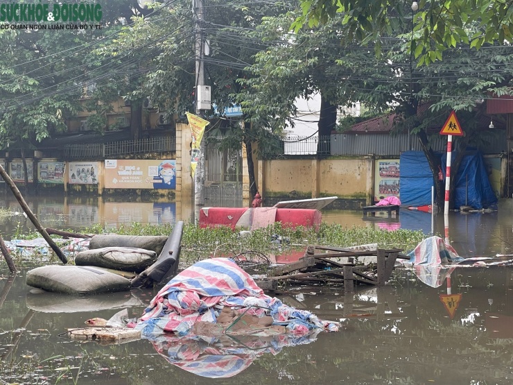 Nước tù đọng bốc mùi, rác thải trôi nổi lềnh bềnh trên mặt nước.