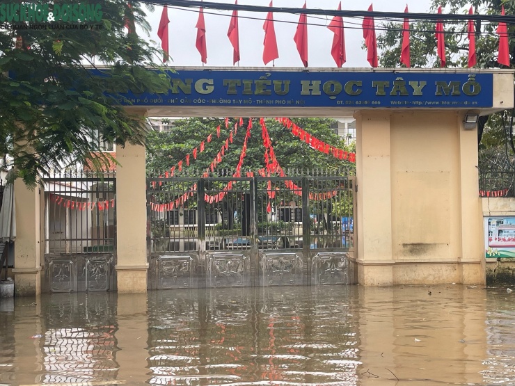 Trường Tiểu học Tây Mỗ (phố Cầu Cốc) đang ngập sâu trong nước.