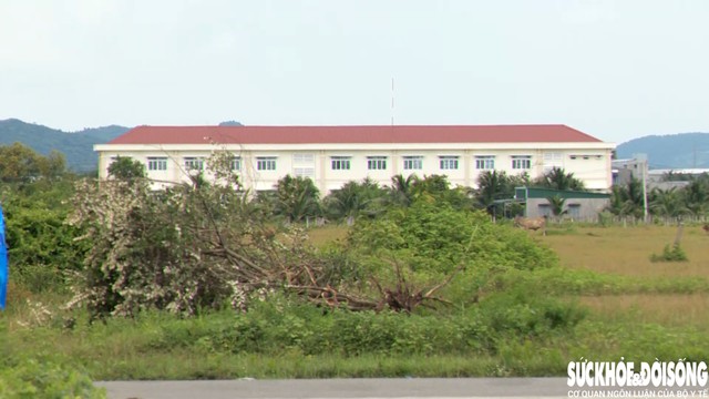 Trường Tiểu học Hàm Kiệm 2 nằm chơ vơ giữa cánh đồng. Ảnh: D.N