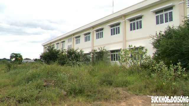 Xung quanh trường Trường Tiểu học Hàm Kiệm 2 cỏ cây mọc um tùm. Ảnh: D.N