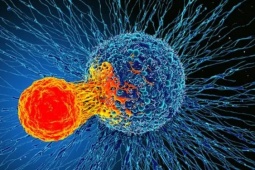 Sức khỏe đời sống - Cơ thể bỗng xuất hiện những dấu hiệu này đừng chủ quan, coi chừng nguy cơ mắc ung thư