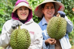 Thị trường - Tiêu dùng - Trung Quốc chi hơn 1 tỷ USD mua rau quả Việt chỉ trong 1 tháng