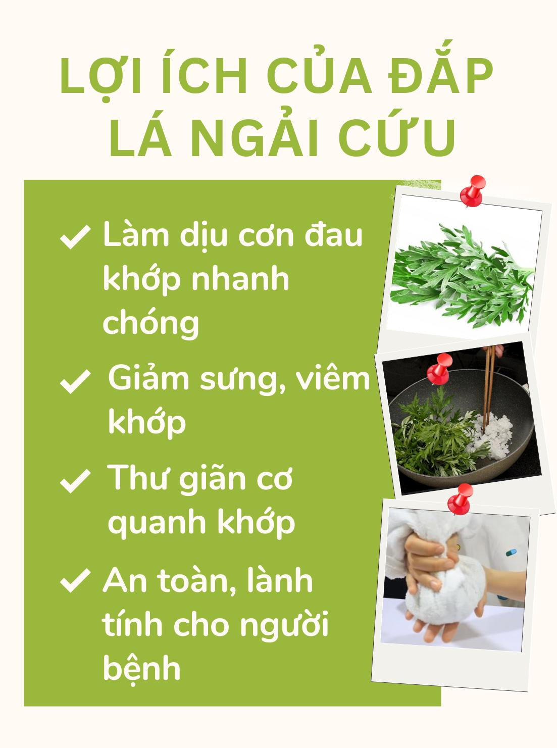 Loại lá mọc dại ở vườn nhưng là “thần dược” cho người bị đau xương khớp - 3