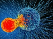 Cơ thể bỗng xuất hiện những dấu hiệu này đừng chủ quan, coi chừng nguy cơ mắc ung thư