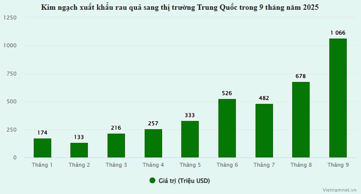 Trung Quốc chi hơn 1 tỷ USD mua rau quả Việt chỉ trong 1 tháng - 2