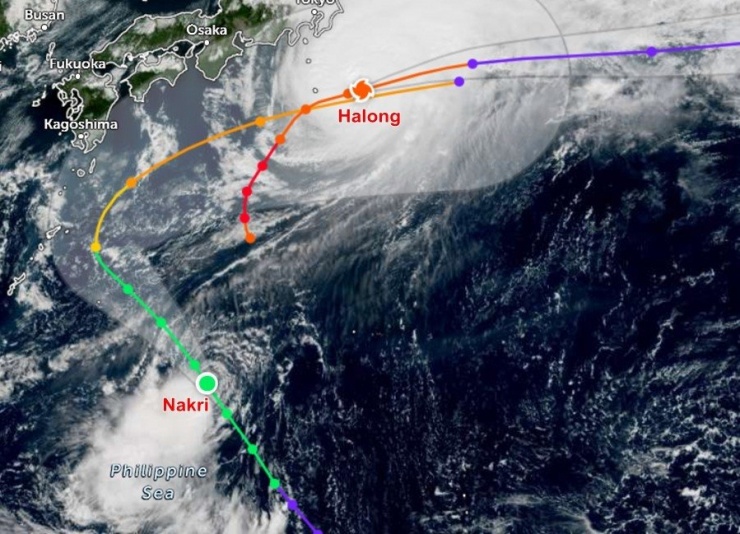 Vị trí hiện tại và đường đi dự báo của bão Halong (Hạ Long) và Nakri - đều bị "đồn đoán" là sẽ trở thành bão số 12. Ảnh: Zoom Earth, JMA/ NOAA/ CIRA, Himawari, JTWC.