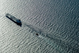 Giá dầu cắm đầu lao dốc trước tín hiệu tích cực ở Gaza và nguồn cung dồi dào