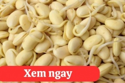 Tin tức sức khỏe - “Tái sinh” khớp gối với món ăn được người xưa ví là “thần dược” cho xương khớp