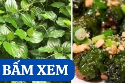 Tin tức sức khỏe - Niềm tin mới cho người bị viêm khớp, thoái hóa khớp nhờ giải pháp hỗ trợ cải thiện được chứng minh khoa học