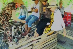 VIDEO: Thú vị trải nghiệm “massage vịt” có một không hai ở miền Tây