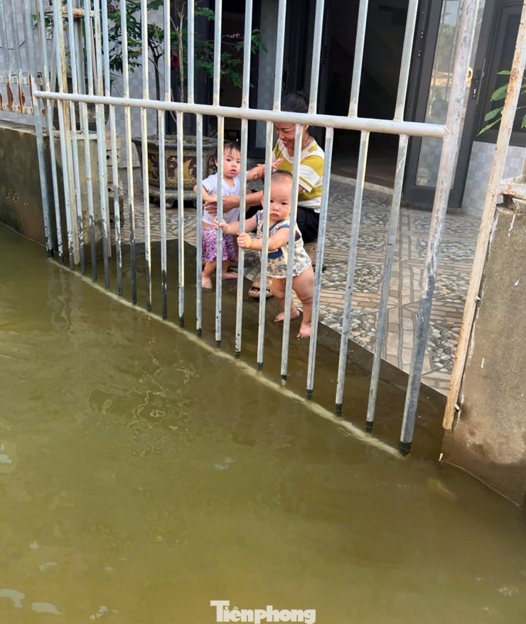 Những ngôi nhà trong biển nước ở ngoại thành Hà Nội - 13
