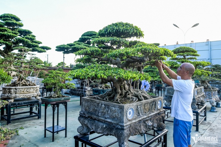 Từ 'biệt đội xe thồ' rong ruổi khắp phố đến tỷ phú cây cảnh - 3