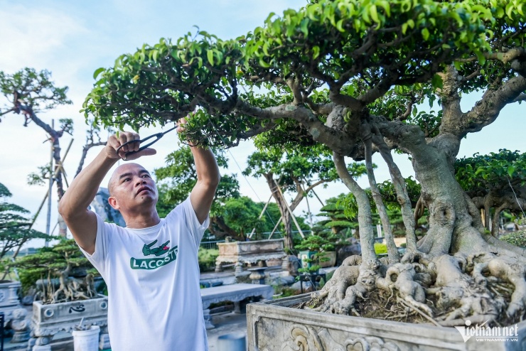 Sau 10 năm lập nghiệp, đến nay, ông Hoạt sở hữu vườn cây với tổng trị giá hơn 100 tỷ đồng.