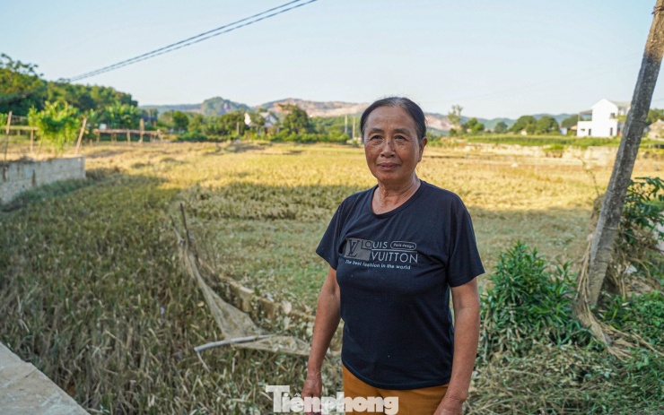 “Nước lên nhanh lắm, cuồn cuộn như thác, chỉ trong chốc lát đã vùi hết 8 sào lúa, không còn gì cứu được. Cụ nhà tôi năm nay 94 tuổi rồi mà còn bảo chưa bao giờ thấy nước ngập cao và chảy xiết đến thế”, bà Nguyễn Thị Luyến (xóm Bến Đò, phường Linh Sơn) nghẹn ngào chia sẻ.