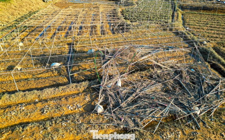 Theo người dân, vào thời điểm nước lũ dâng cao, mực nước lên tới 2,5-3 m, gần như toàn bộ hoa màu bị ngập sâu.