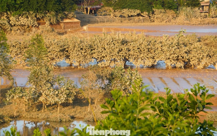 Bà Nguyễn Thị Hạ cho biết gia đình có một mẫu ruộng, trong đó 5 sào lúa và 5 sào rau màu đều sắp đến ngày thu hoạch. Tuy nhiên, mưa lũ bất ngờ tràn về đã nhấn chìm tất cả. "Sinh hoạt của gia đình chúng tôi chỉ trông vào mùa vụ này, giờ thì mất trắng rồi", bà Hạ nghẹn ngào.