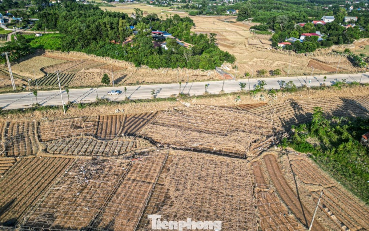 Theo Sở NN&MT tỉnh Thái Nguyên, tính đến ngày 11/10, tổng diện tích cây trồng bị ngập và hư hỏng khoảng 10.485 ha. Trong đó, cơn bão số 10 gây thiệt hại 3.536 ha, diện tích này tiếp tục bị ngập khi cơn bão số 11 đổ bộ. Hiện sở đang chỉ đạo các đơn vị liên quan tập trung các biện pháp khôi phục sản xuất, đáp ứng nhu cầu thực phẩm trong thời gian tới.