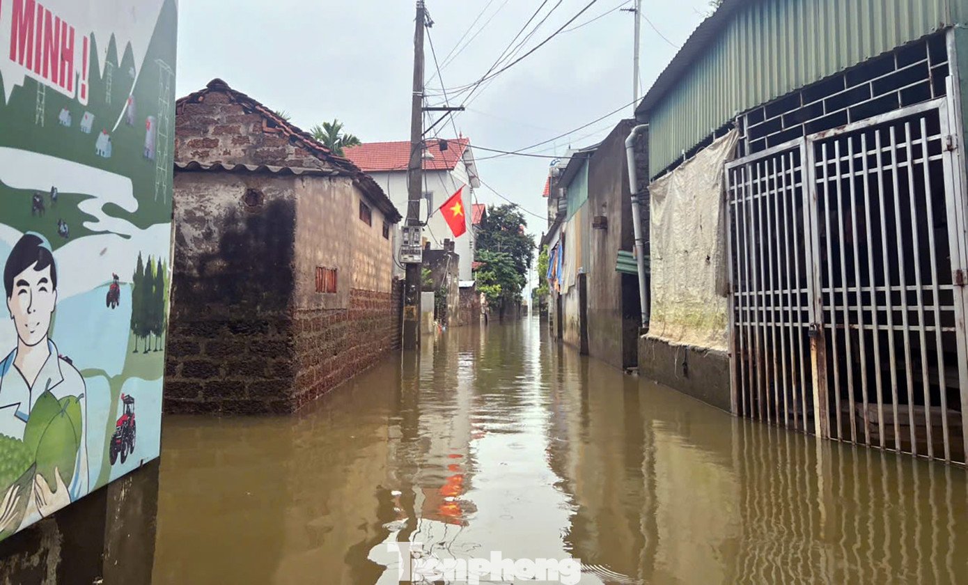 Những ngôi nhà trong biển nước ở ngoại thành Hà Nội - 3