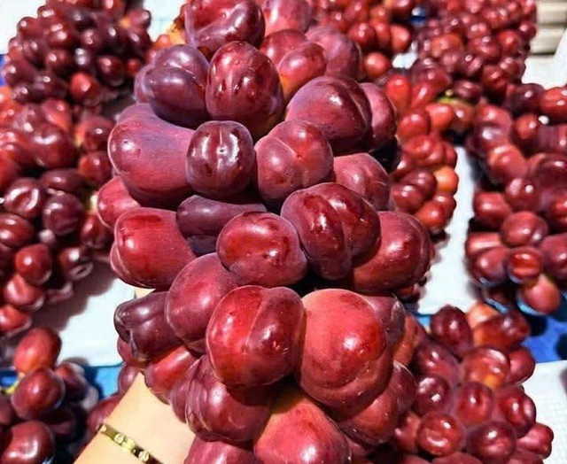 Nho sữa đỏ trái tim có hình dáng và mùi vị đều thu hút người tiêu dùng. Ảnh: Thùy Anh.