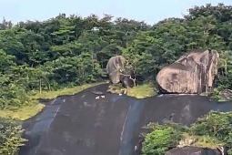 CLIP: Xôn xao 4 con vật lạ trắng như tuyết trên đỉnh Ma Thiên Lãnh