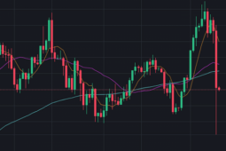 Tiền điện tử 'bị thảm sát', lao dốc kinh hoàng