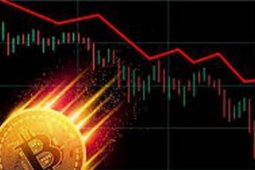 Giới đầu tư tiền số "khóc ròng" sau tuyên bố của Tổng thống Trump, bay sạch tiền lãi cả tháng