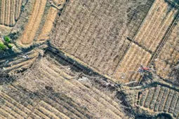 Tin tức trong ngày - Cả cánh đồng lúa, hoa màu tan hoang, người dân Thái Nguyên bật khóc