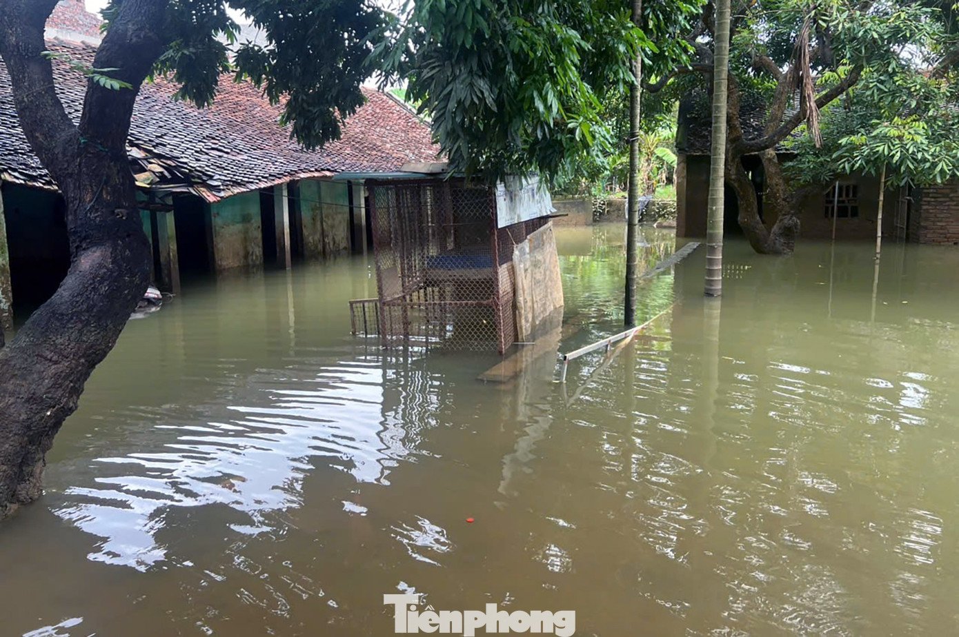 Những ngôi nhà trong biển nước ở ngoại thành Hà Nội - 6