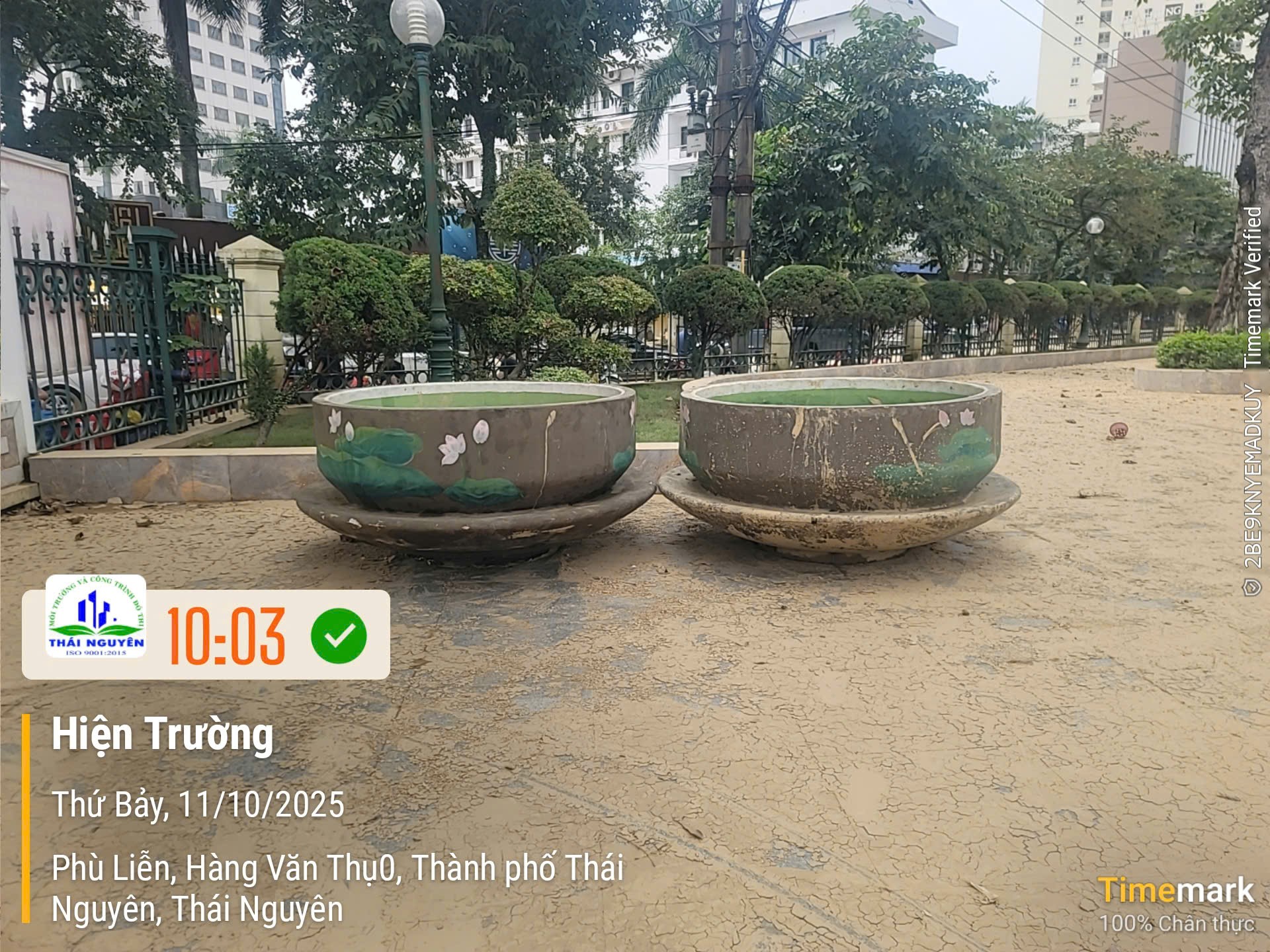Vào sáng 11/10, Công ty Môi trường Công trình và Đô thị Thái Nguyên đã xác nhận tìm được 2 tách trà thất lạc