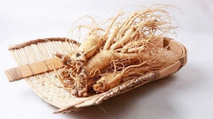 Cây có độc, quả giống nho không ăn được mà “hái ra tiền” - 3