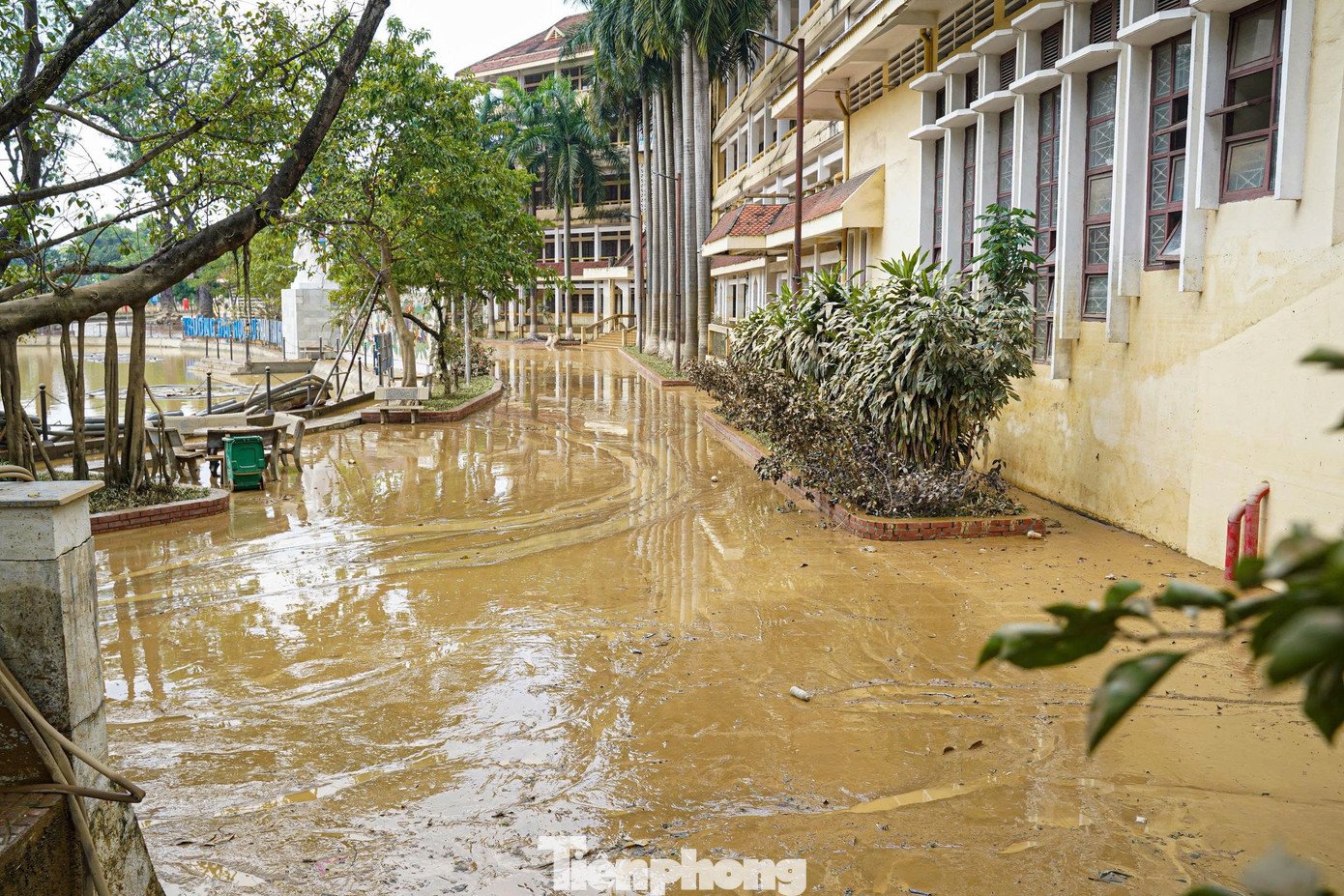 Thái Nguyên: Đại học Sư phạm tan hoang sau lũ, học bạ, con dấu trôi khắp nơi - 6