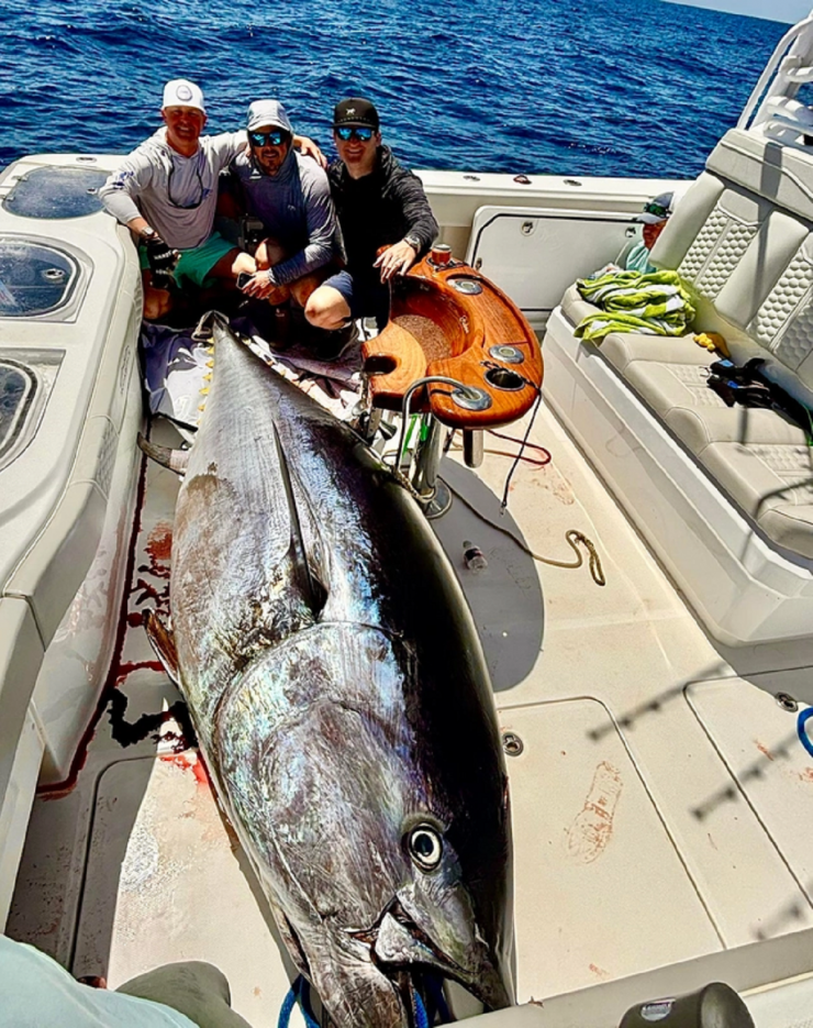 Nhóm cần thủ câu được con cá hơn 400kg.