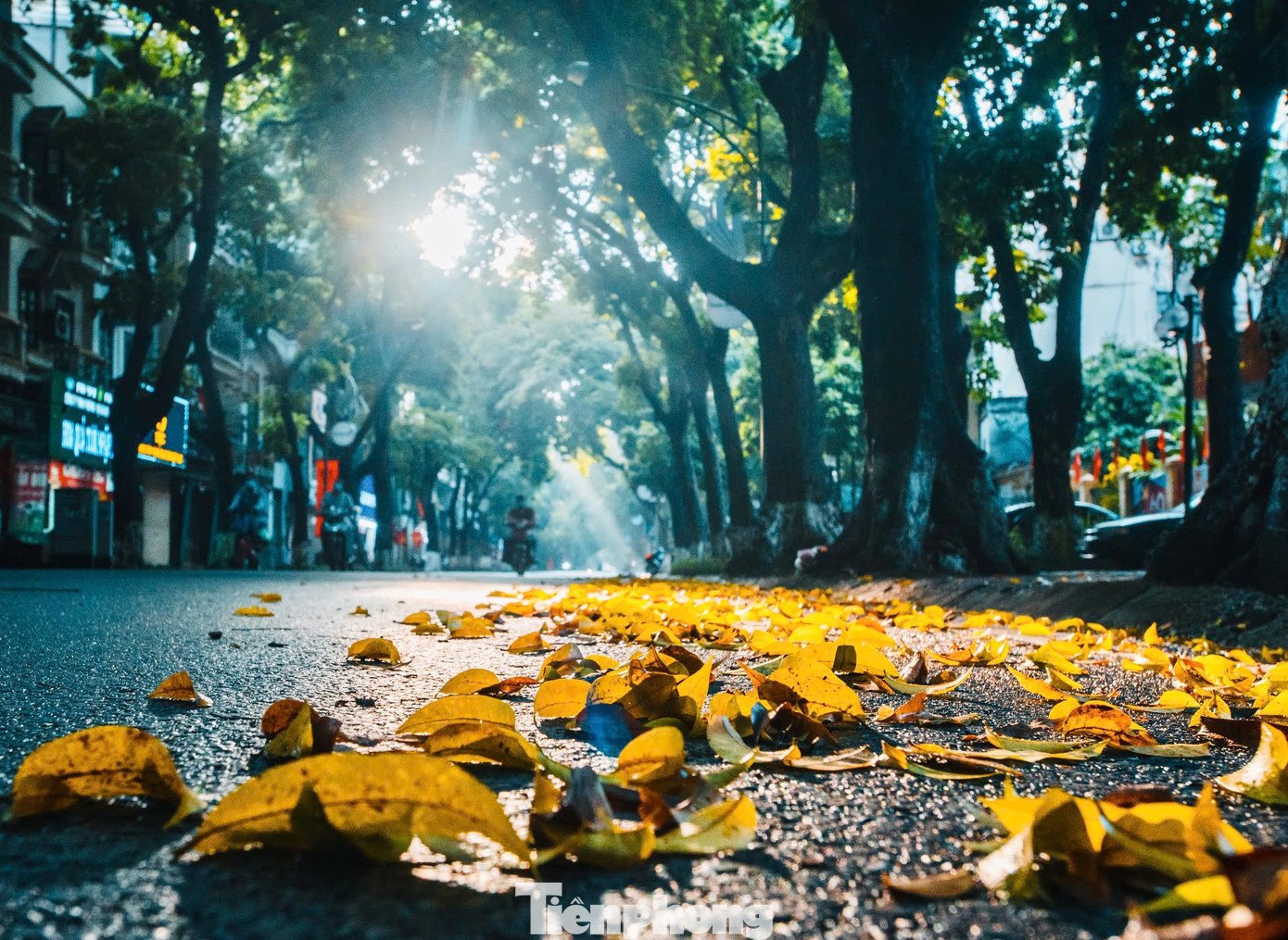 Sắc thu dịu dàng phủ khắp Hà Nội khiến lòng người đắm say - 3