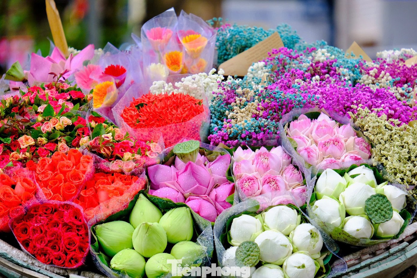 Sắc thu dịu dàng phủ khắp Hà Nội khiến lòng người đắm say - 18