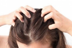 Các bài tập giúp tăng cường tuần hoàn máu đến da đầu