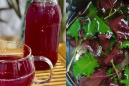 Loại rau nên ăn nhiều vào mùa thu giúp tăng đề kháng, ngăn ngừa viêm mũi và cảm lạnh hiệu quả
