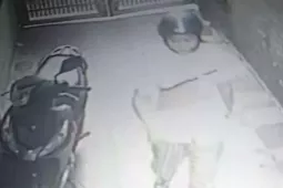 An ninh - Xã hội - Tìm thấy thi thể nữ sinh sau nhiều ngày mất tích, người mẹ đề nghị làm rõ những nghi vấn