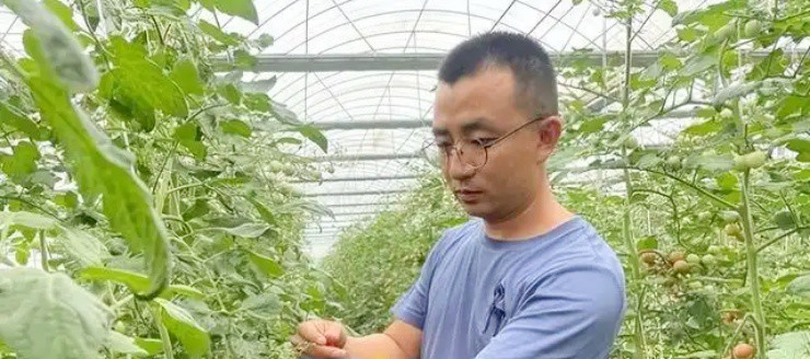 Vợ chồng bỏ việc xịn lương cao ở thành thị, về quê làm nông kiếm vài tỷ/năm - 1