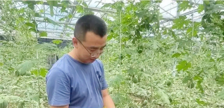 Vợ chồng bỏ việc xịn lương cao ở thành thị, về quê làm nông kiếm vài tỷ/năm - 3