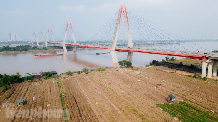 Sau hoàn lưu bão số 10, bão Matmo tiếp tục ảnh hưởng khiến nước sông Hồng dâng cao, nhấn chìm hàng chục nghìn gốc đào ở làng Nhật Tân (Hà Nội). Nước rút, để lại cánh đồng đầy bùn đất và hàng nghìn gốc đào chết khô, thối rễ.