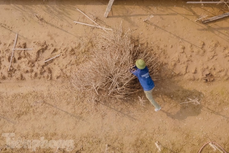 Thời điểm ghi nhận chiều 12/10, những gốc đào, cành đào khô héo được người dân chất thành từng đống và thiêu đốt.