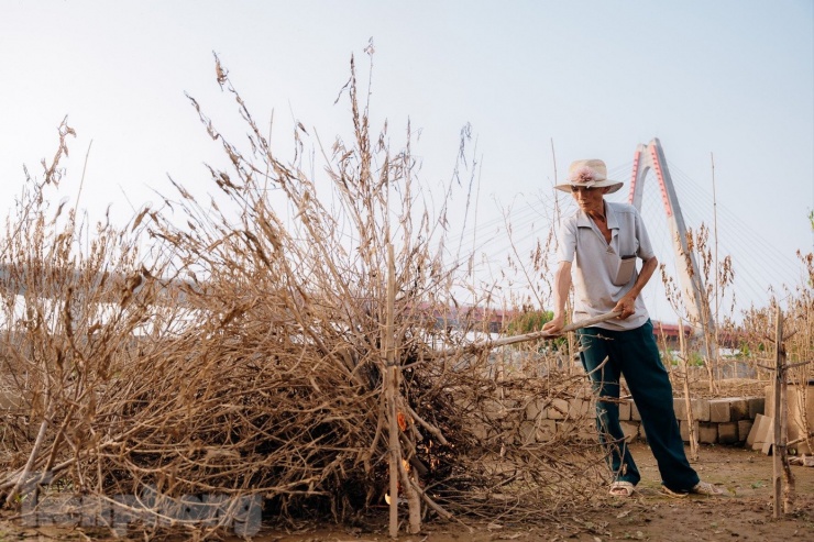 Đào Nhật Tân chết khô chết héo - 9
