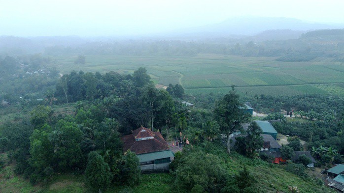 Cận cảnh 2 cây dó trầm hơn 200 năm tuổi vừa được công nhận là Cây di sản Việt Nam - 4