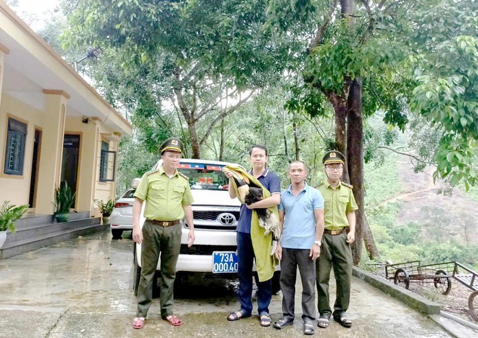 Bàn giao chim Hồng hoàng cho Trung tâm Cứu hộ, bảo tồn và phát triển sinh vật thuộc Vườn Quốc gia Phong Nha - Kẻ Bàng
