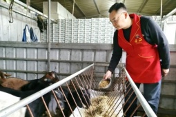 Từ “kẻ thất bại” đến “đại gia” kiếm vài chục tỷ/năm nhờ nuôi loài quen...