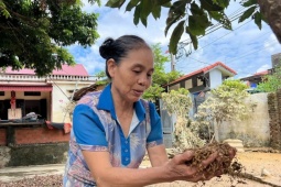 Hà Nội sau ngập sâu: Trung Giã lầy lội bùn đất, điện nước chưa 'hồi sinh'